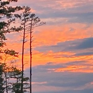 Meet your Posher, Xavier